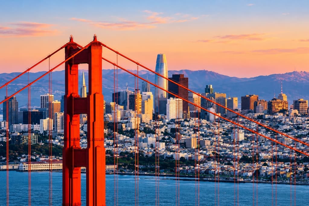 City Skyline & Bridge Architecture